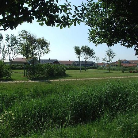 Friedrichskoog-Deichblick 1 Villa Exteriör bild
